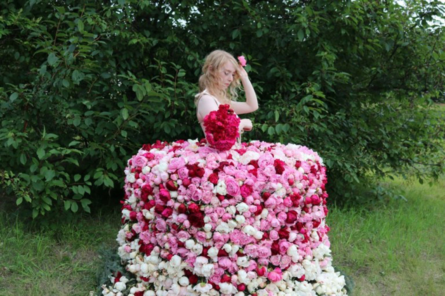 Peony Art